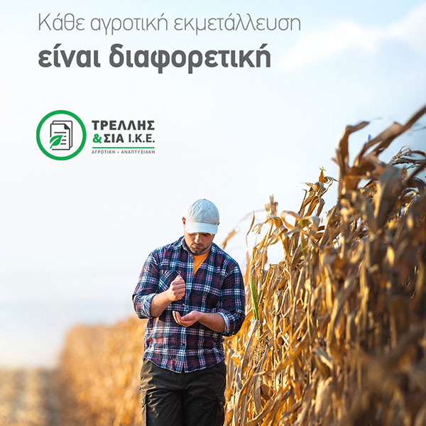 TRELLIS & SIA I.K.E. AGROTIKI - ANAPTYXIAKI: Φωτογραφίες & Βίντεο