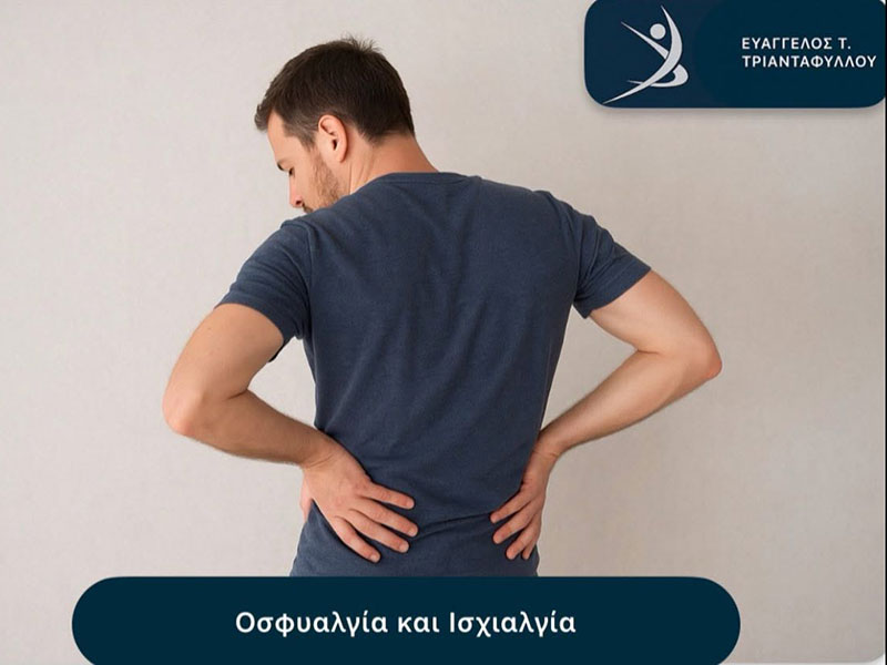ΤΡΙΑΝΤΑΦΥΛΛΟΥ ΕΥΑΓΓΕΛΟΣ: Φωτογραφίες & Βίντεο