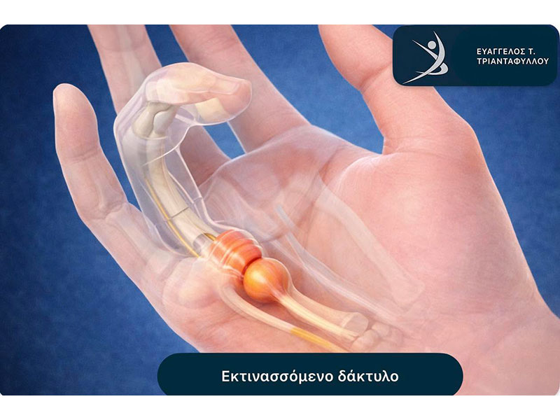 ΤΡΙΑΝΤΑΦΥΛΛΟΥ ΕΥΑΓΓΕΛΟΣ: Φωτογραφίες & Βίντεο