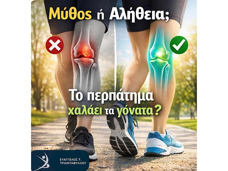 ΤΡΙΑΝΤΑΦΥΛΛΟΥ ΕΥΑΓΓΕΛΟΣ: Φωτογραφίες & Βίντεο