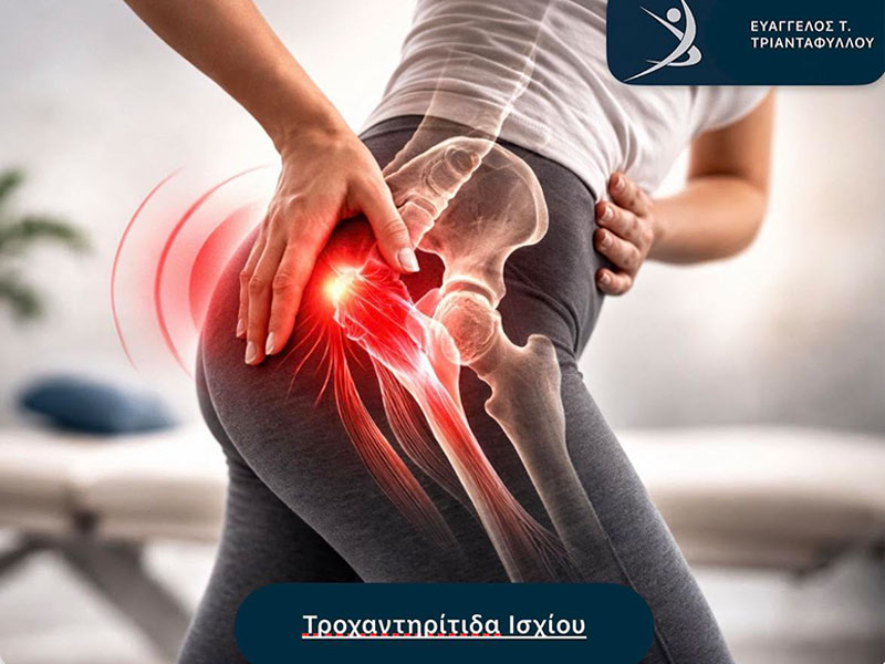 ΤΡΙΑΝΤΑΦΥΛΛΟΥ ΕΥΑΓΓΕΛΟΣ: Φωτογραφίες & Βίντεο