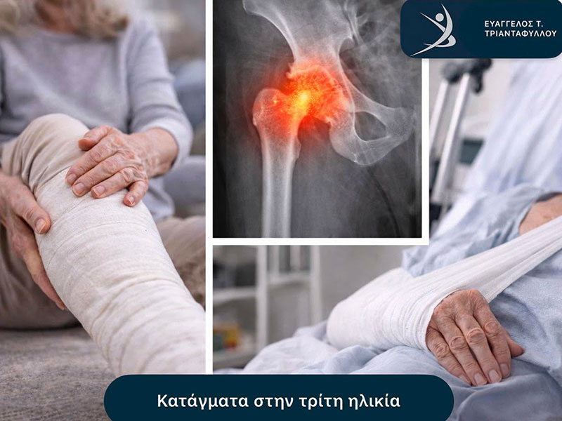 ΤΡΙΑΝΤΑΦΥΛΛΟΥ ΕΥΑΓΓΕΛΟΣ: Φωτογραφίες & Βίντεο