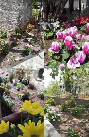 TRIANTAFYLLOU GARDENS: Φωτογραφίες & Βίντεο