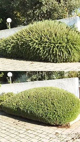TRIANTAFYLLOU GARDENS: Φωτογραφίες & Βίντεο