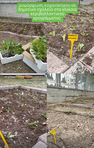 TRIANTAFYLLOU GARDENS: Φωτογραφίες & Βίντεο