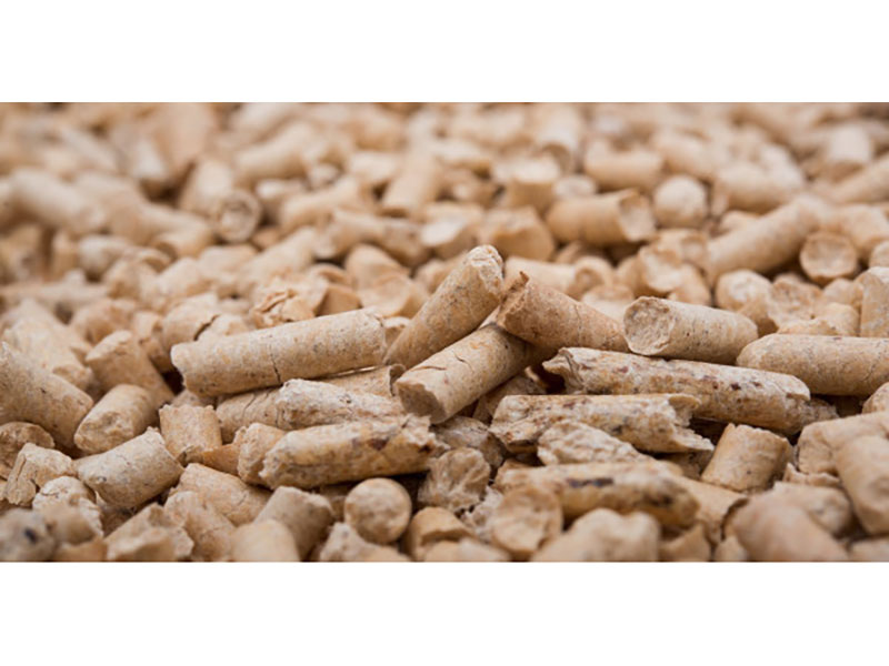TROPIKOS PETSHOP - PETSITE: Φωτογραφίες & Βίντεο