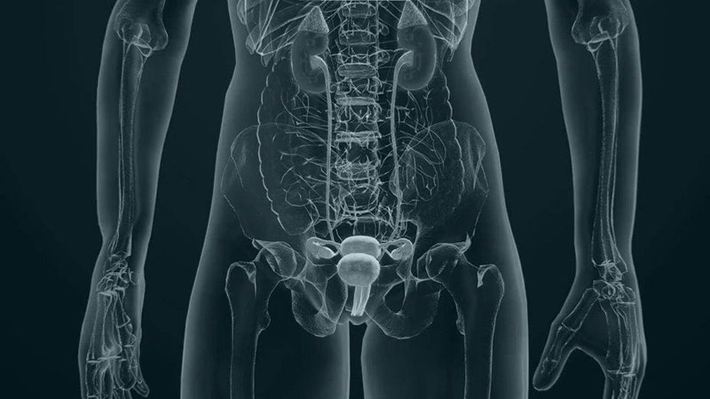 TSAGKAROPOULOS NIKOS MD: Φωτογραφίες & Βίντεο