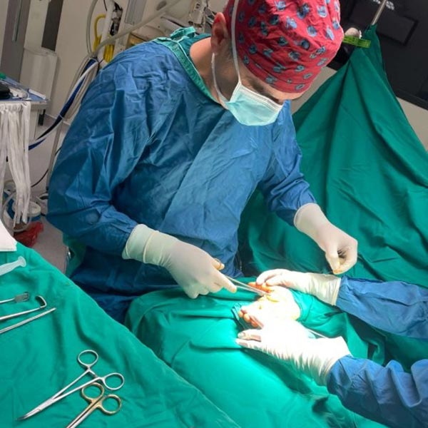 TSAROUCHAS ALEXANDROS Dr. MD, MSc, PhD: Φωτογραφίες & Βίντεο