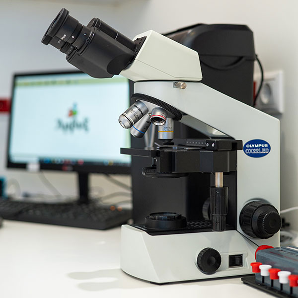 TSARPALI K. PENI MD, MSPH, MSc: Φωτογραφίες & Βίντεο