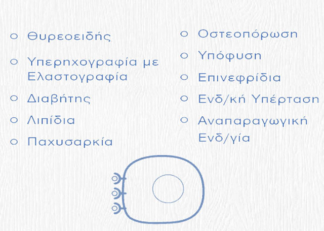 VASILEIOU AGATHI: Φωτογραφίες & Βίντεο