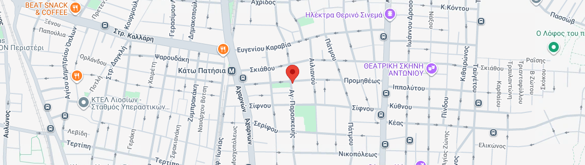 Λογότυπο VASILIS
