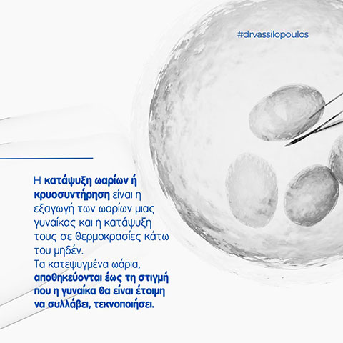 VASILOPOULOS IOANNIS: Φωτογραφίες & Βίντεο