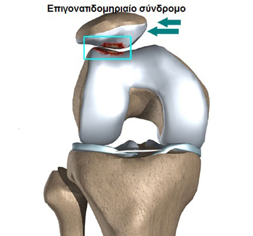 VERMISOGLOU MICHAIL Dr MED: Φωτογραφίες & Βίντεο