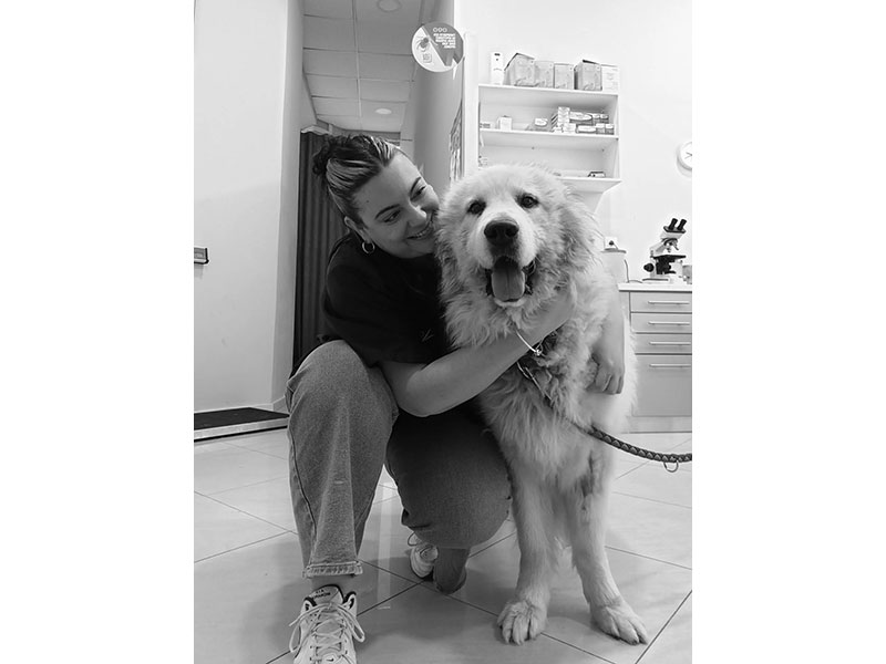 VETCARE: Φωτογραφίες & Βίντεο