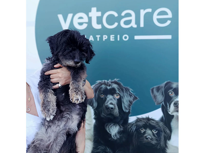 VETCARE: Φωτογραφίες & Βίντεο