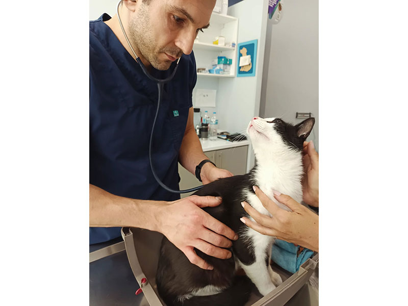 VETCARE: Φωτογραφίες & Βίντεο