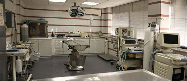 VETERINARY CLINIC MAKROGIKAS PETROS - BOGOGIANNIDOU MARIA: Φωτογραφίες & Βίντεο