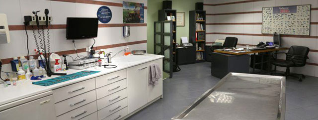 VETERINARY CLINIC MAKROGIKAS PETROS - BOGOGIANNIDOU MARIA: Φωτογραφίες & Βίντεο
