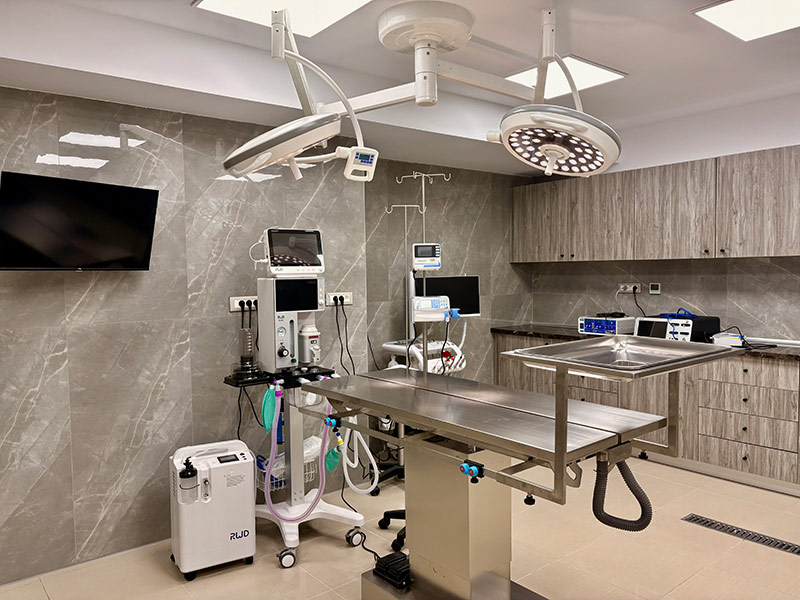 VETSURGICA SYGCHRONO KTINIATRIKO KENTRO: Φωτογραφίες & Βίντεο