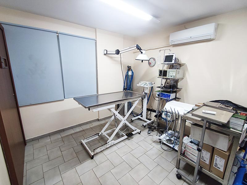 VET CENTER - MICHELLARAKIS IOANNIS: Φωτογραφίες & Βίντεο