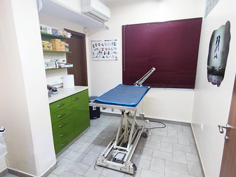 VET CENTER - MICHELLARAKIS IOANNIS: Φωτογραφίες & Βίντεο