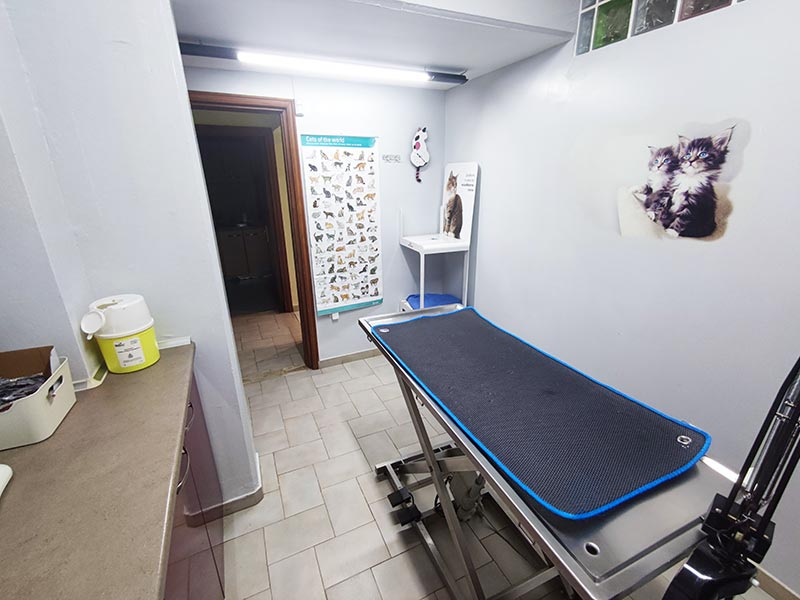 VET CENTER - MICHELLARAKIS IOANNIS: Φωτογραφίες & Βίντεο