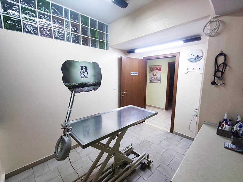 VET CENTER - MICHELLARAKIS IOANNIS: Φωτογραφίες & Βίντεο