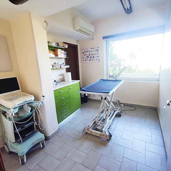 VET CENTER - MICHELLARAKIS IOANNIS: Φωτογραφίες & Βίντεο