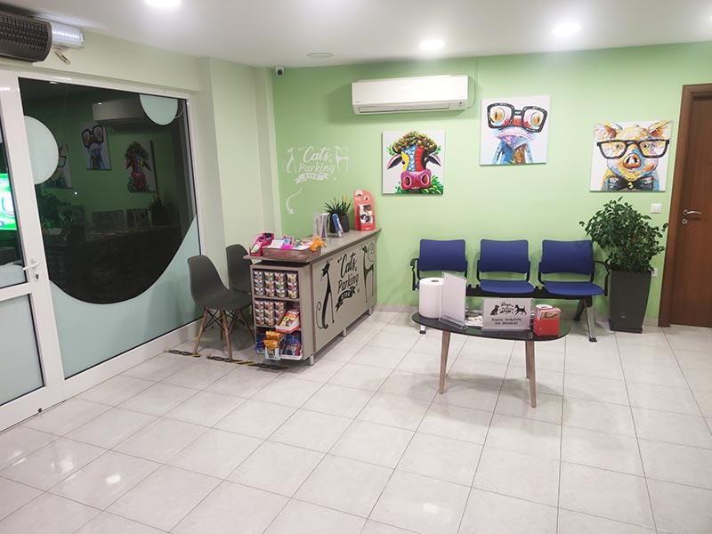 VET CENTER - MICHELLARAKIS IOANNIS: Φωτογραφίες & Βίντεο