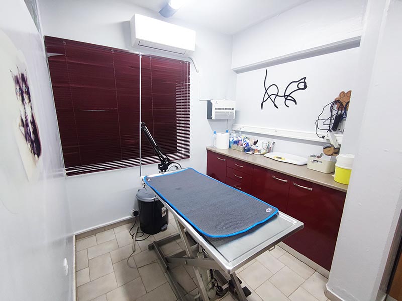 VET CENTER - MICHELLARAKIS IOANNIS: Φωτογραφίες & Βίντεο