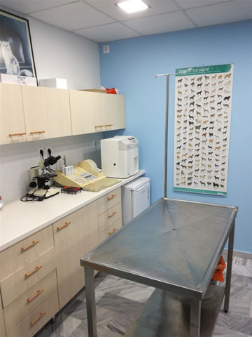 VET CLINIC - KTINIATRIKO KENTRO PEFKIS ANTONOPOULOS THEODOROS: Φωτογραφίες & Βίντεο