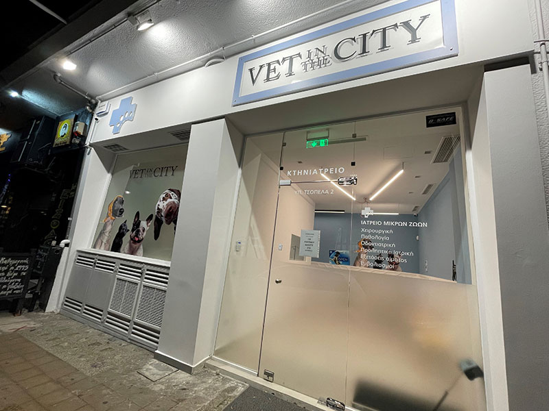 VET IN THE CITY - WALA HADDADIN MCS: Φωτογραφίες & Βίντεο