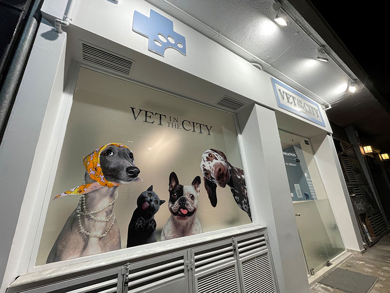 VET IN THE CITY - WALA HADDADIN MCS: Φωτογραφίες & Βίντεο