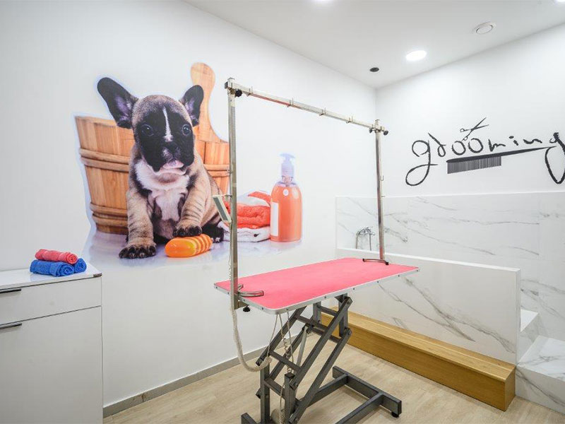 VET MEDICA: Φωτογραφίες & Βίντεο