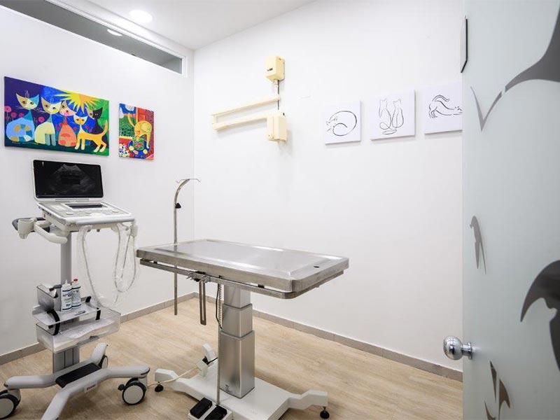 VET MEDICA: Φωτογραφίες & Βίντεο