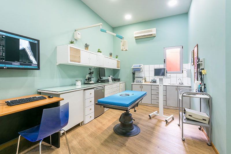 VET MEDICA - MILATHIANAKIS K.& M.: Φωτογραφίες & Βίντεο