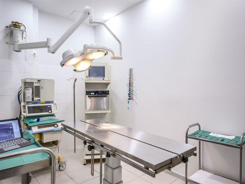 VET MEDICA: Φωτογραφίες & Βίντεο