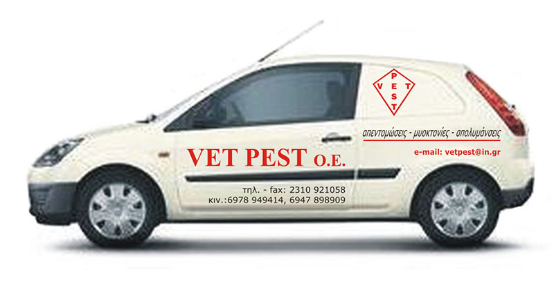 VET PEST: Φωτογραφίες & Βίντεο