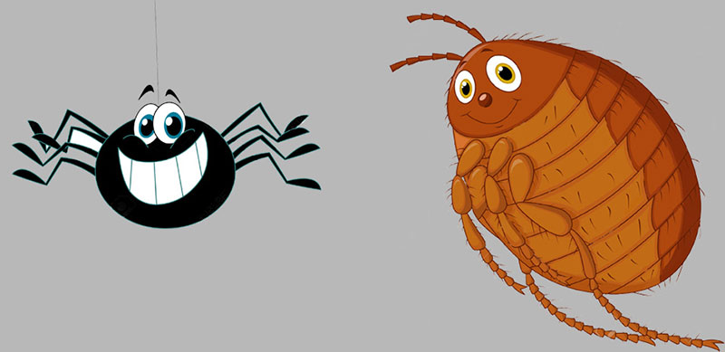 VET PEST: Φωτογραφίες & Βίντεο