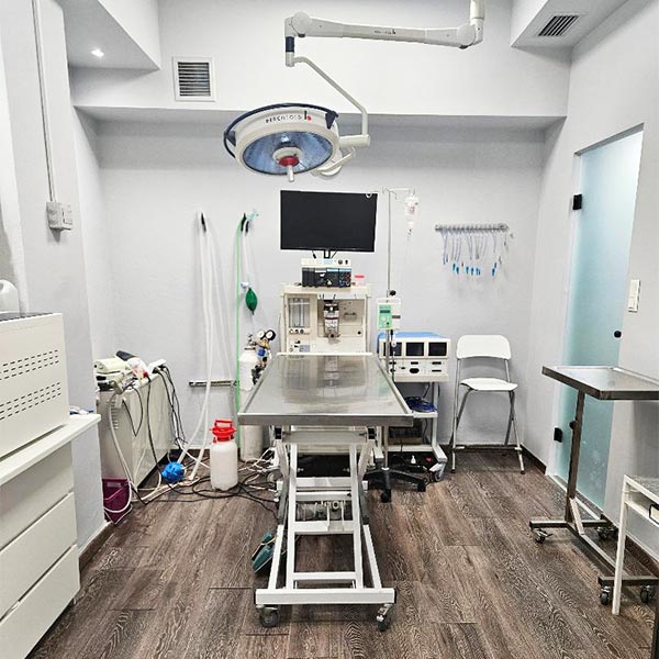 VIGGOPOULOU ELPIDA Dr: Φωτογραφίες & Βίντεο