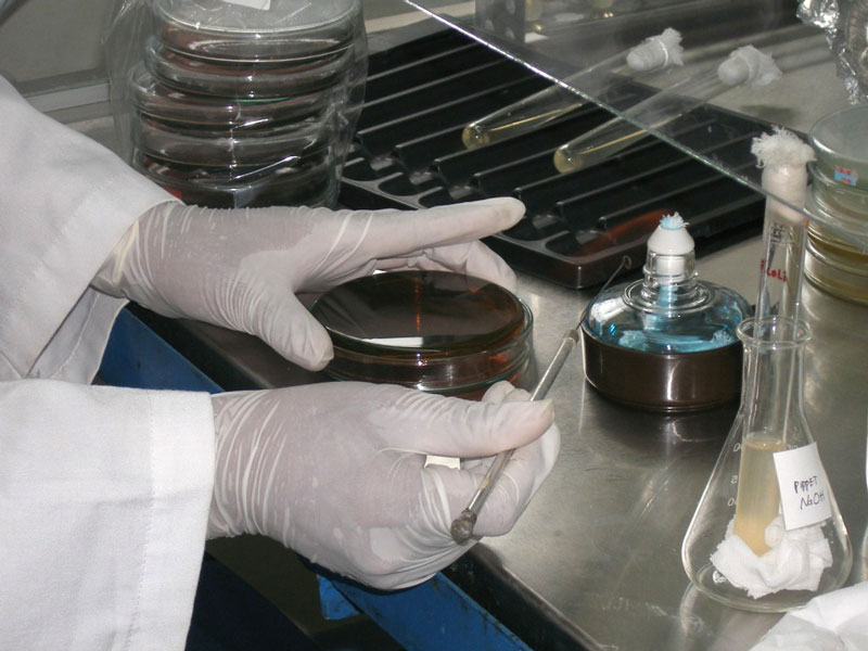 VIODIAGNOSIS AE: Φωτογραφίες & Βίντεο