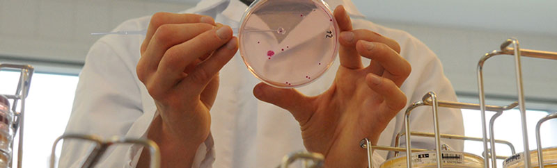 VIODIAGNOSIS AE: Φωτογραφίες & Βίντεο