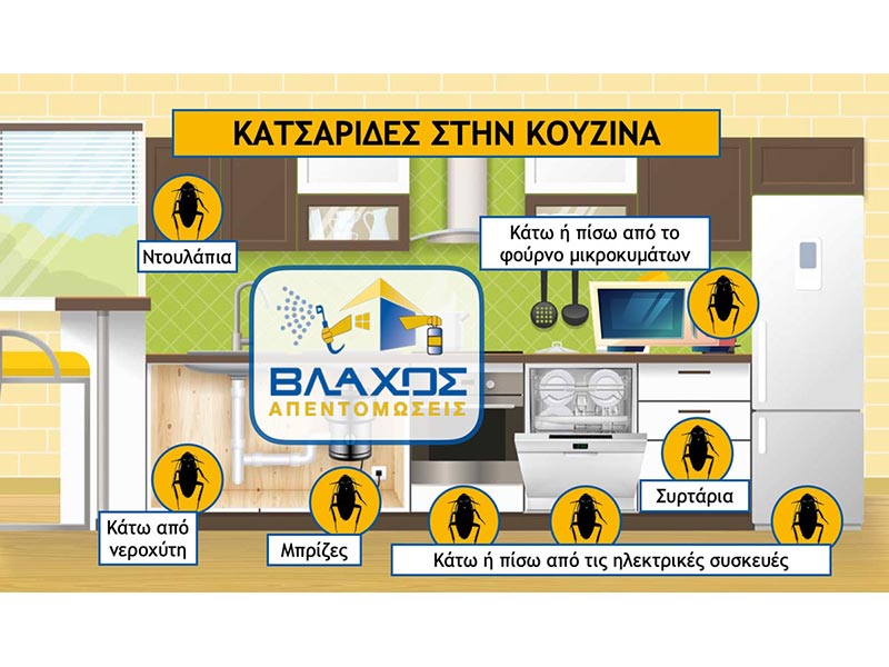 ΒΛΑΧΟΣ ΑΠΟΦΡΑΞΕΙΣ - ΑΠΟΛΥΜΑΝΣΕΙΣ: Φωτογραφίες & Βίντεο