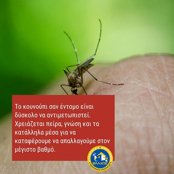 VLACHOS APOLYMANSEIS - APENTOMOSEIS: Φωτογραφίες & Βίντεο