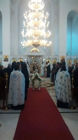 VLACHOS NEKTARIOS: Φωτογραφίες & Βίντεο
