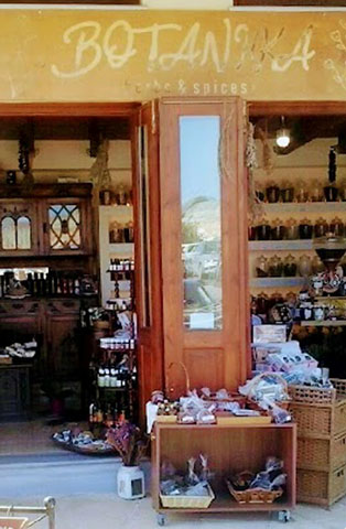 ΒΟΤΑΝΙΚΑ: Φωτογραφίες & Βίντεο