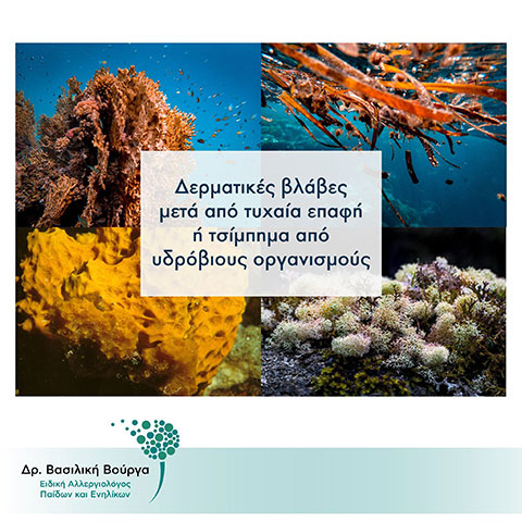 VOURGA A. VASILIKI: Φωτογραφίες & Βίντεο