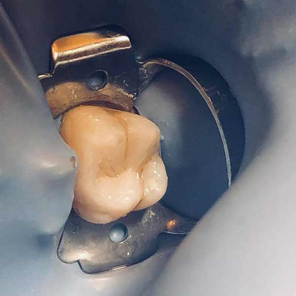XENIDOU - DENTAL CLINIC: Φωτογραφίες & Βίντεο
