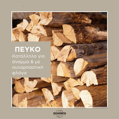 XYLOPIGI - PAVLAKI I. EVGENIA: Φωτογραφίες & Βίντεο