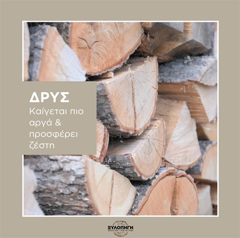 XYLOPIGI - PAVLAKI I. EVGENIA: Φωτογραφίες & Βίντεο
